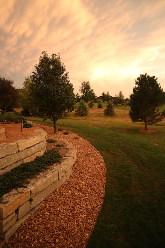 garden-driveway