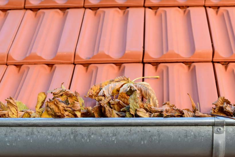 Leaves and debri in roof gutter