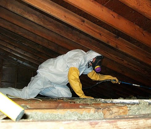 Roof space clean and treatment